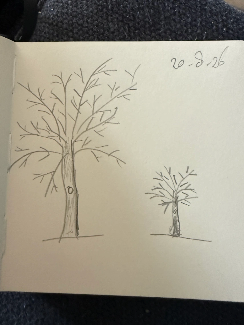 Opdracht Daily Line 20-08-2026